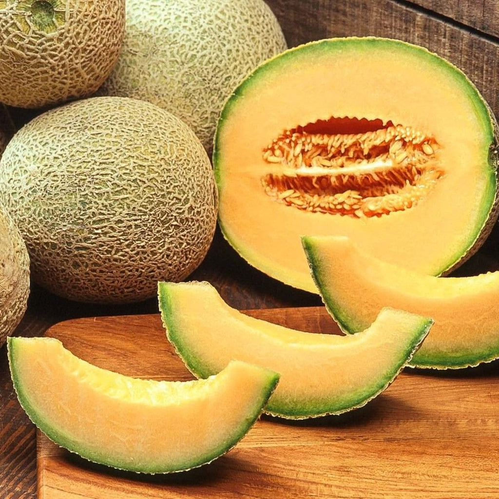Melon Cantaloupe 1ct - GroceriesToGo Aruba | Convenient Online Grocery Delivery Services