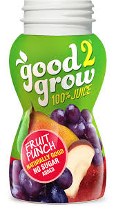 Good2Grow Fruit Punch 8oz - GroceriesToGo Aruba | Convenient Online Grocery Delivery Services