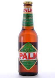 Palm Speciale 500ml, 12ct - GroceriesToGo Aruba | Convenient Online Grocery Delivery Services
