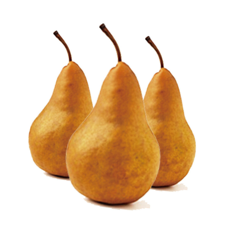 PERBOS120 | Bosc Pear (110/120ct)