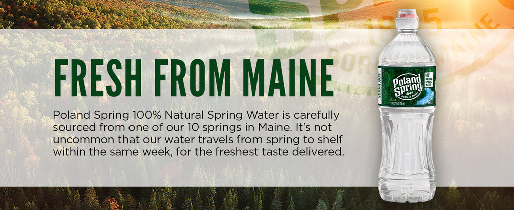 24 Poland Spring 24 Poland Spring 100% Natural Spring Water – GroceriesToGo Aruba