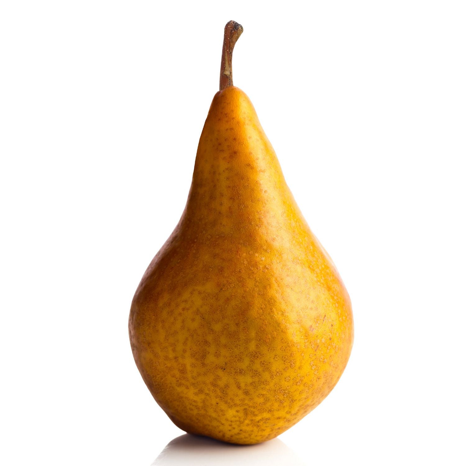 PERBOS120 | Bosc Pear (110/120ct)