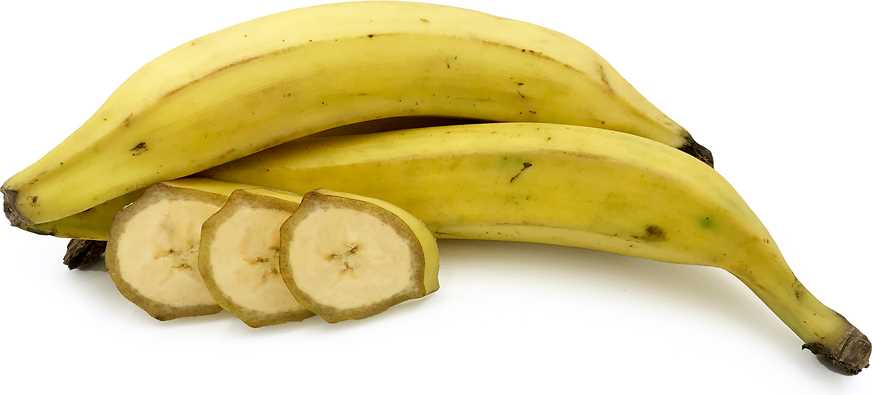 Banana (Plantain) 1ct - GroceriesToGo Aruba | Convenient Online Grocery Delivery Services