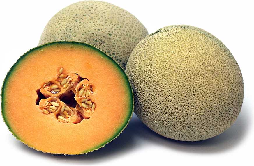 Melon Cantaloupe 1ct - GroceriesToGo Aruba | Convenient Online Grocery Delivery Services