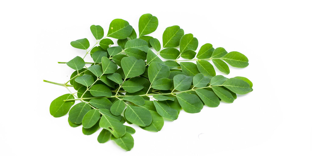 Moringa - GroceriesToGo Aruba | Convenient Online Grocery Delivery Services