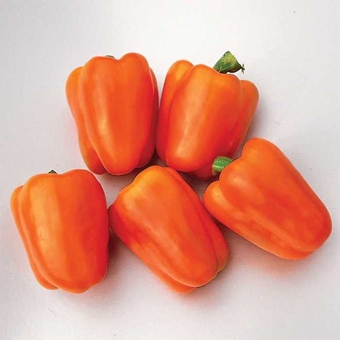 Pepper Orange Gourmet - GroceriesToGo Aruba | Convenient Online Grocery Delivery Services