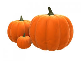 Pumpkin Local - GroceriesToGo Aruba | Convenient Online Grocery Delivery Services