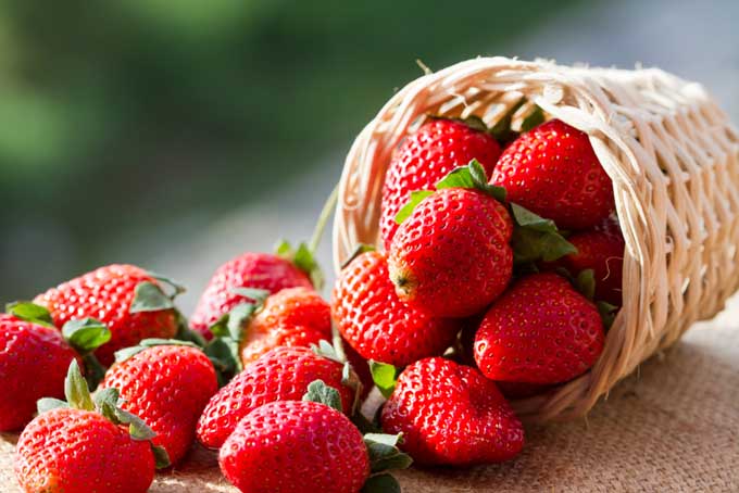 Strawberries 1 pack - GroceriesToGo Aruba | Convenient Online Grocery Delivery Services