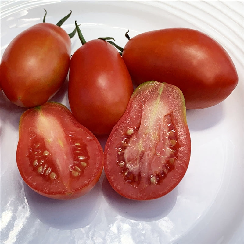 Tomato Plum 1kg - GroceriesToGo Aruba | Convenient Online Grocery Delivery Services