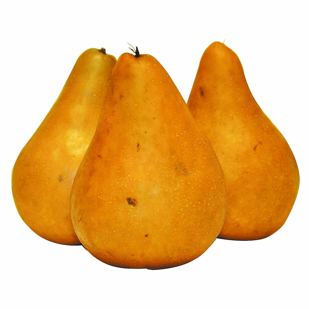 Pear Bosc Large 1kg - GroceriesToGo Aruba | Convenient Online Grocery Delivery Services